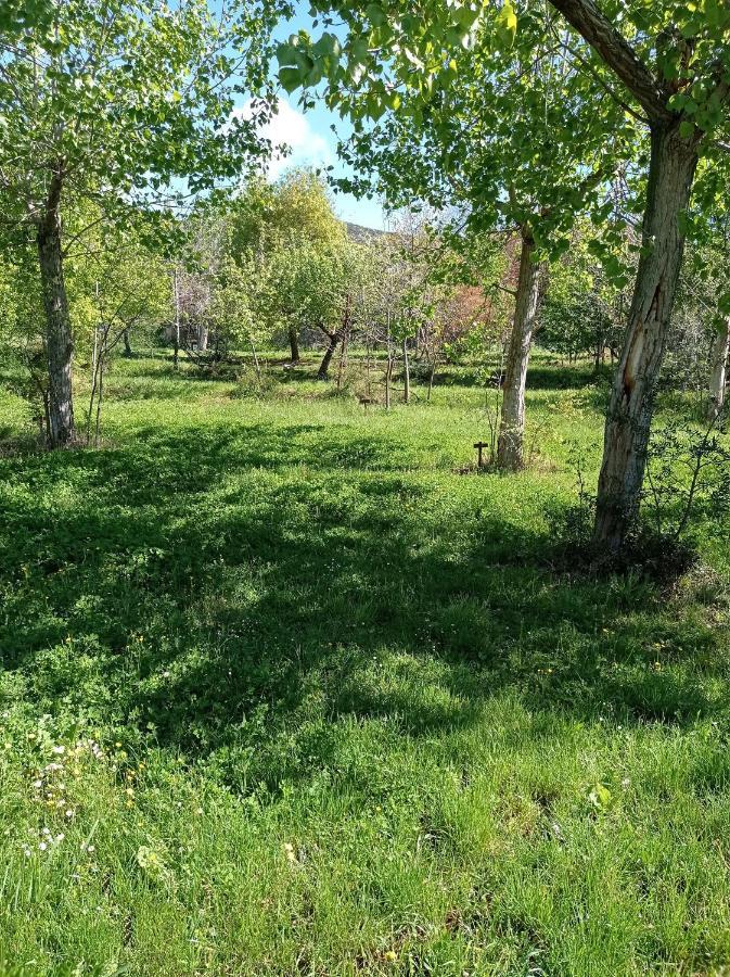 Camping Yaso-Guara Exterior foto